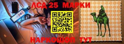 ПСИЛОЦИБИНОВЫЕ ГРИБЫ Гай